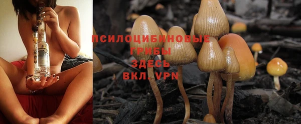 прущий лед Верея