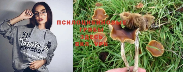 амф Волосово