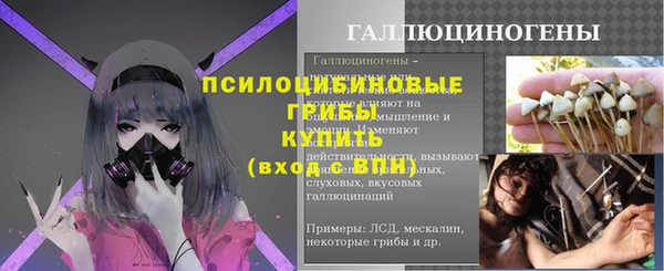 прущий лед Верея