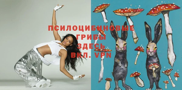 прущий лед Верея
