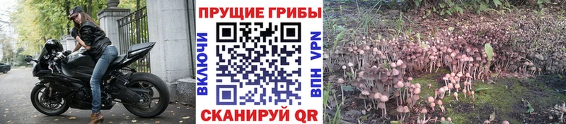 Галлюциногенные грибы мицелий  Черкесск 